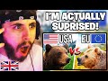 Brit Reacts to 5 American Animals VS 5 European Animals - Who Would Win?