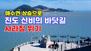 [진도 신비의 바닷길은 열리지 않았다] 해수면 상승으로 바닷길 축제 존폐 위기에 처한 현대판 모세의 기적(명량해전 울돌목 회오리 바다 급류 영상 포함)