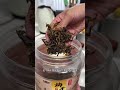 我老公做的这个梅干菜烧肉百吃不厌，肉肥而不腻，又软又糯，搭配着梅干菜，巨香，味道一点不输梅菜扣肉，但比梅菜扣肉做起来简单 梅菜烧肉 下饭神器 家常菜 妈呀太香了