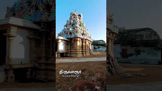 THIRUVARUR TEMPLE#shortsfeed