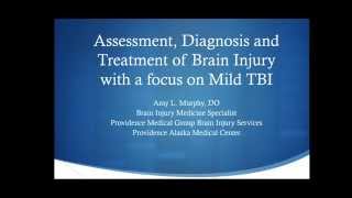 Assessment, Diagnosis and Treatment of Brain Injury with a focus on Mild TBI