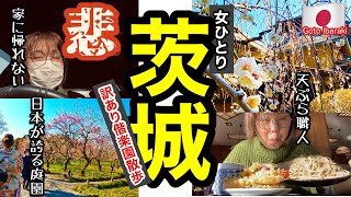 【茨城／偕楽園】訳あり！女ひとり散歩・徳川将軍の素晴らしい庭園に癒された。行った気になる茨城・偕楽園（花粉症の方はぜひ動画でお楽しみくださいｗ）