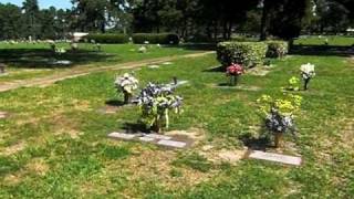 Ted Evan Stewart's final resting place