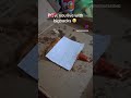 #shorts #relatable #instagram #tiktok #blowup #viral #funny