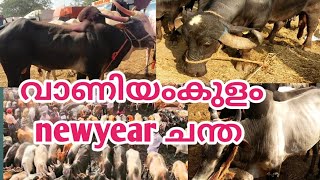 വാണിയംകുളം newyear ചന്ത /cattle market newyear vaniyamkulam