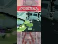 iq300プレイを決めてしまった ゜ロ゜ スプラトゥーン3 sideorder shorts サイドオーダー スプラ3 ぐりげん 神プレイ