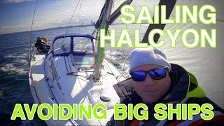 東京湾でセーリング 大型船！気をつけて！！Sailing Halcyon Episode 3