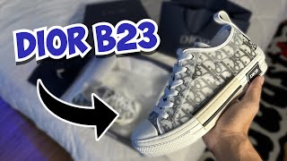 DIOR B23 OBLIQUE LOW (Shoe Review + Try On)