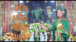 Lễ Hầu Thánh tại Đền Mẫu Đông Cuông_Đồng Thầy Phạm Thị Thu_Ngày 11/7/Quý Mão (2023)