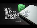How to Send Images on WhatsApp (full guide)