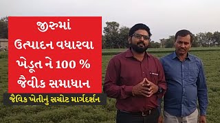 જીરુમાં ઉત્પાદન વધારવા ખેડૂત ને 100 % જૈવીક સમાધાન