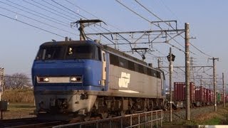 JR貨物 今日の1090レ EF200-8牽引貨物 2013/03/19