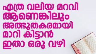 എത്ര വലിയ മറവി ആണെങ്കിലും അത്ഭുതകരമായി മാറികിട്ടാൻ ഇതാ ഒരു വഴി | Swalih Falili Valanchery