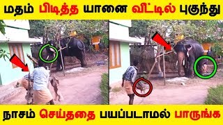 மதம் பிடித்த யானை வீட்டில் புகுந்து நாசம் செய்ததை பயப்படாமல் பாருங்க | Tamil News |