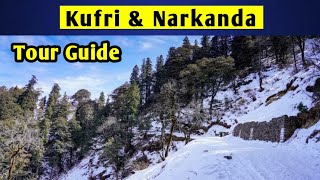 KUFRI \u0026 NARKANDA TOUR GUIDE | KUFRI TOUR PLAN | NARKANDA TRAVEL GUIDE | KUFRI \u0026 NARKANDA TOUR BUDGET