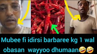 #hayatorotube mubee taphaa irrati adabii barbaree kg1 dhugee bayyee midhaame wahii game waan kee