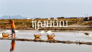 ស្រែអំបិលខេត្តកំពត-Salt Field at Kampot province