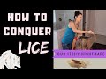 Lice!  How To Find and Kill Forever