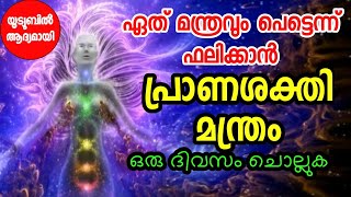 മന്ത്രം ഫലിക്കാൻ#പ്രാണശക്തി മന്ത്രം.ഏത് മന്ത്രവും ഫലിക്കും.ഒരു ദിവസം ചൊല്ലുക.prana Sakthi Mantra