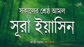 সকালে আমলের জন্য শ্রেষ্ঠ তেলাওয়াত সুরা ইয়াসিন | Surah Yaseen | amol | سوره يس Record by Alaa Aqel