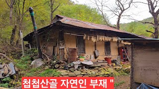 첩첩산 골짜기 자연인 황토집 살기힘들어 떠났을까 토종 닭들이 마당을 지키는데 날이저문다 ᆢ