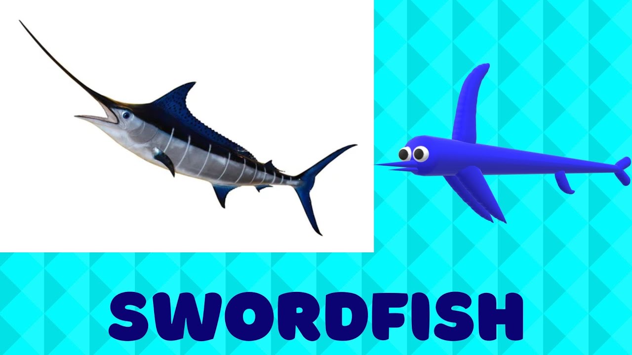 I M A Swordfish Fun Facts For Kids Youtube