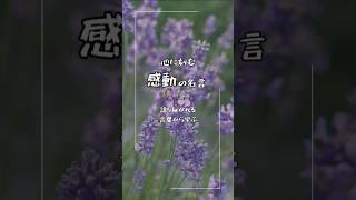 「恋愛も人生も答えはここにある」　心に刻む感動の名言　語り継がれる言葉から学ぶ🍀　ブッダ（釈迦）さんの言葉。　#人間関係の悩み #恋愛相談 #感動の言葉 #人生相談 #心に響く名言集 #名言集感動