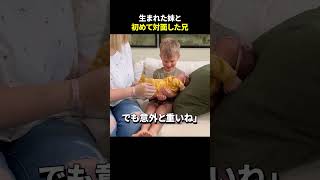 生まれた妹と初めて対面した兄