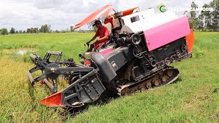 ម៉ាស៊ីនច្រូតស្រូវ Kubota​​ DC-70 Plus Rice Harvester Machine Working | Agriculture Farming Equipment