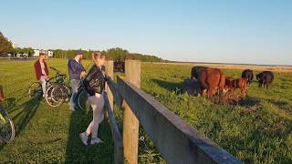 Pärnu...in perfect harmony with nature