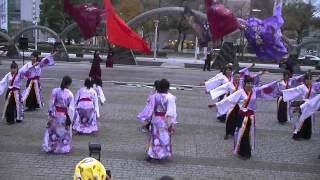 「Team雅龍」　四日市よさこい祭り2014