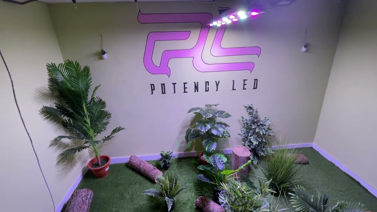 Special Origin 600w Potencyled Youtube