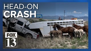 Driver airlifted to hospital after going wrong way on I-80, crashing into truck with horse trailer