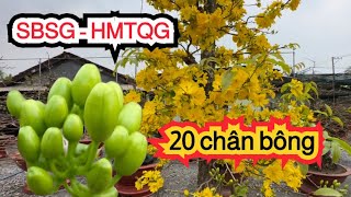 Tham quan vườn a HMTQG những ngày cuối  năm