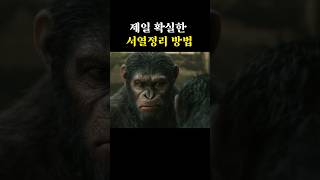 제일 확실한 서열정리 방법