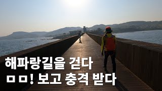 해파랑길13코스.양포항~구룡포항.전구간영상.시원한동해바다와함께걷는길.