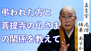 弔われた方と菩提寺の仏さまの関係をおしえて【教えて！あすかさん】