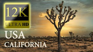 USA,California 12K Ultra HD By Drone | Flying Over California 2023