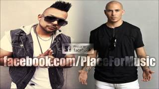 Sean Paul feat  Pitbull   She Doesn t Mind Official Remix