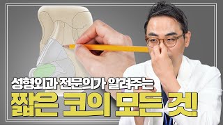 성형외과 전문의가 알려주는 짧은 코의 모든 것!