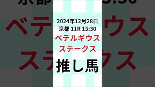 【ベテルギウスＳ2024推し馬】2024年12月28日京都 11R 15:30 #ベテルギウスＳ  #解説 #当たる競馬予想  #競馬予想 #競馬予想動画