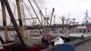 Newlyn Harbour 2014