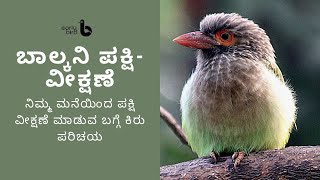 ಬಾಲ್ಕನಿ ಪಕ್ಷಿ-ವೀಕ್ಷಣೆ [Balcony Birding (Kannada)]