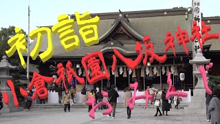 【小倉祇園 八坂神社】初詣♪おみくじの結果は！？お楽しみのグルメも♪