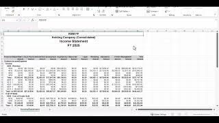 NetSuite Financial Reports
