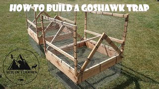 How to build a Swedish goshawk trap - ACR Outdoors