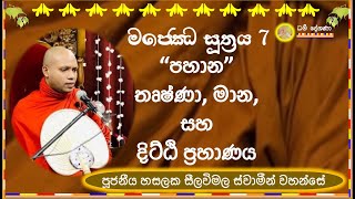 මජ්ඣේ සූත්‍රය 7 ~ Ven. Hasalska Seelawimala Thero.