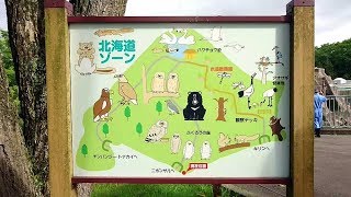 2019.8.29 14:53 釧路市動物園 園内紹介⑫ 北海道ゾーン 🦉ふくろうの森 🐻ヒグマ舎 ハクチョウ池