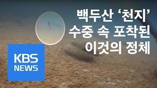 백두산 '천지' 수중영상 공개...괴물도 있을까? / KBS뉴스(News)