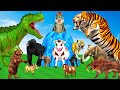 Mammoth Elephant Cow vs Giant Tiger TRex vs Elephant Fight Bear Paint Wild Animals Crossing Fountain